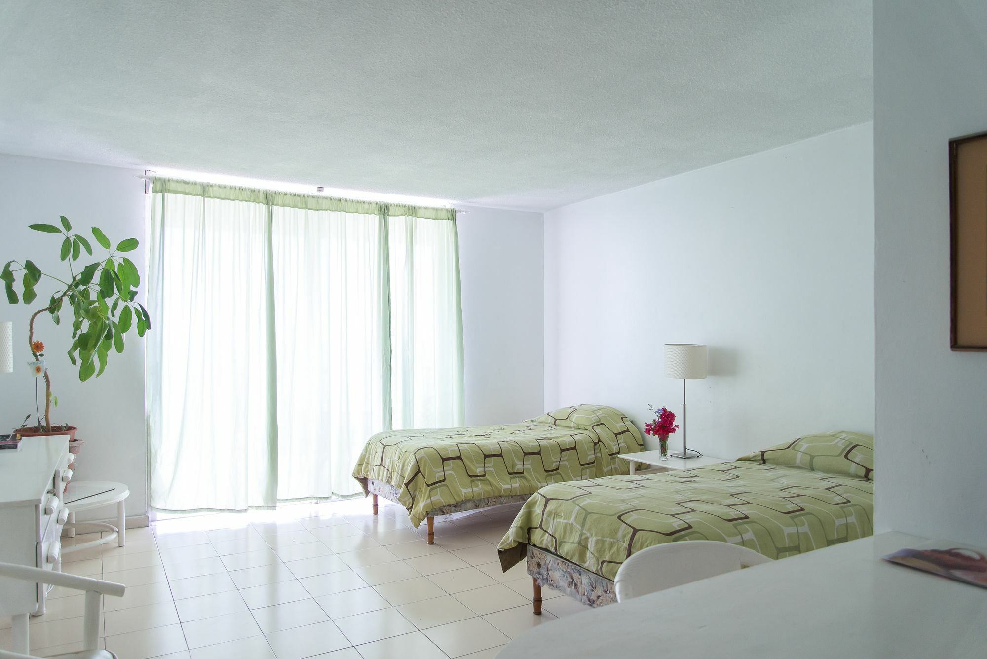 Montego Bay Club Apartments Eksteriør bilde